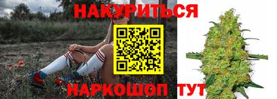 шишки Бузулук