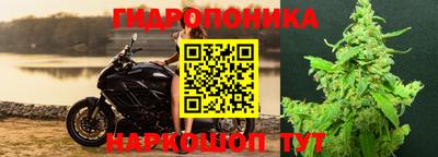 apvp Будённовск