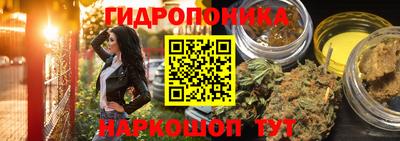 apvp Будённовск
