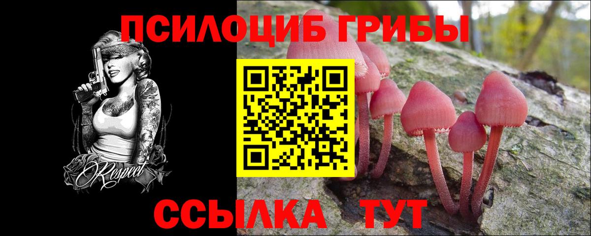Псилоцибиновые грибы Magic Shrooms Нижнеудинск